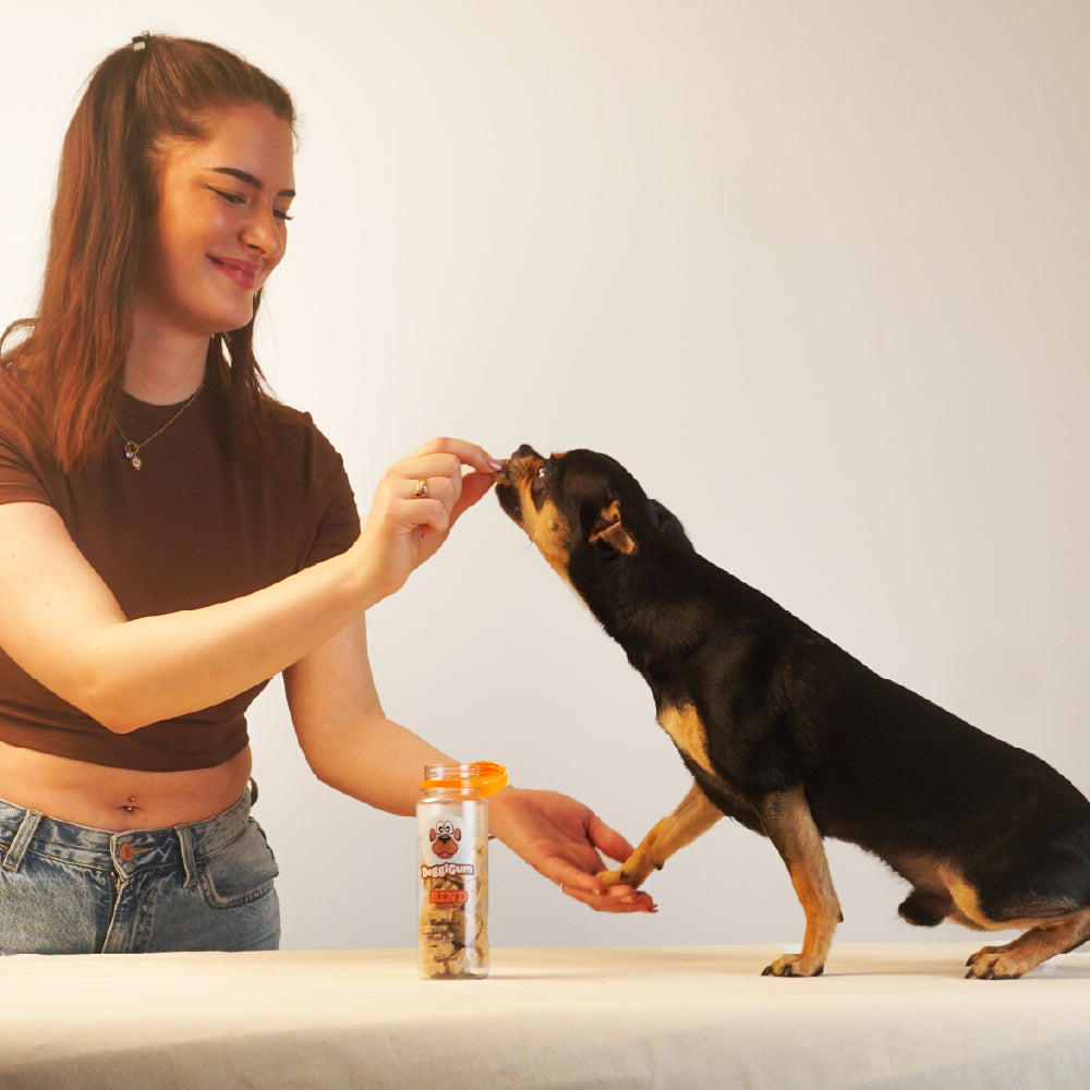 DoggiGum – Superfood-Belohnung für deinen besten Freund