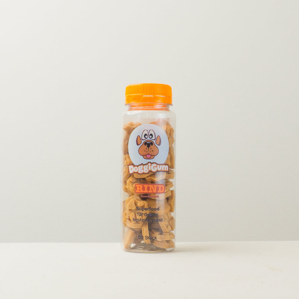 DoggiGum – Superfood-Belohnung für deinen besten Freund