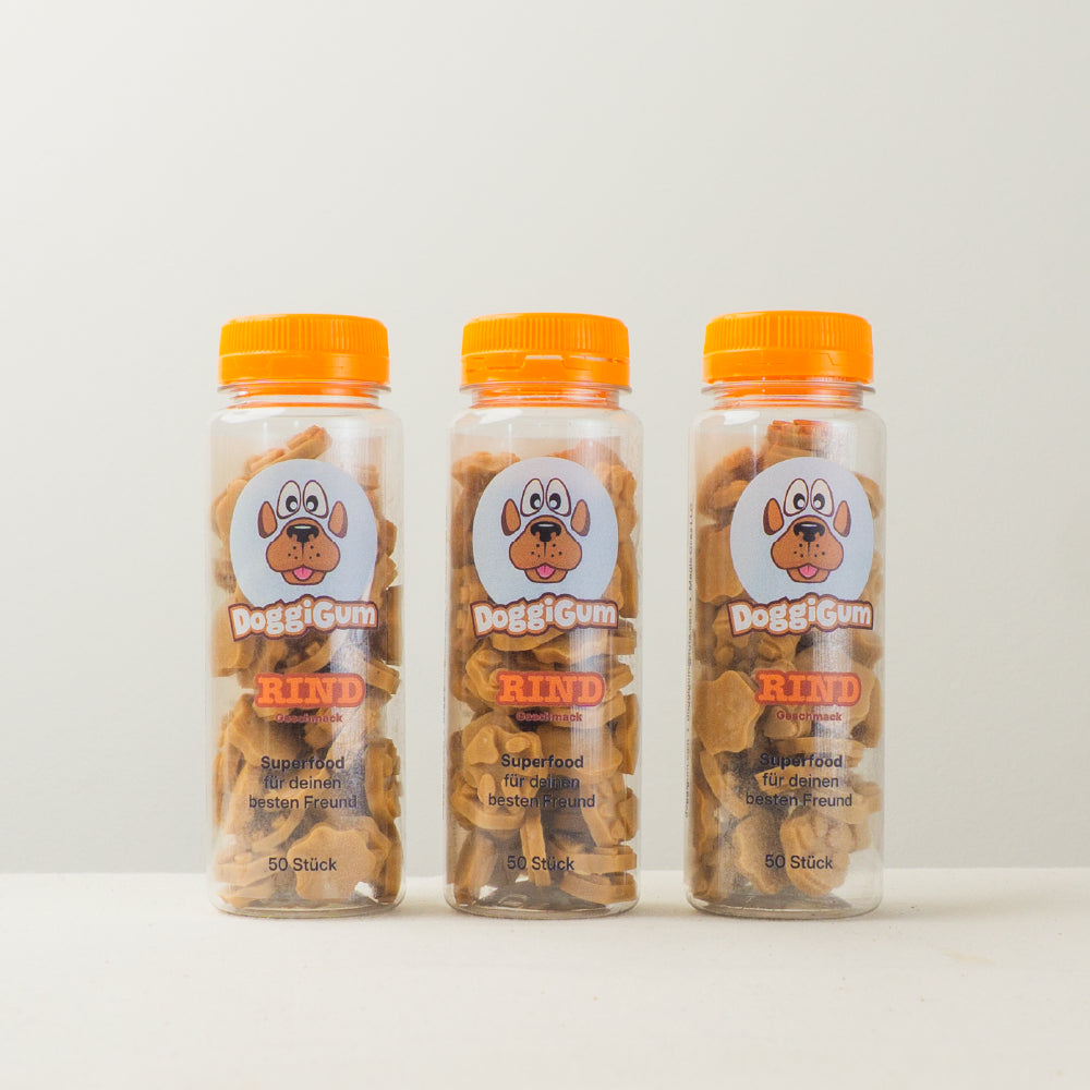 DoggiGum – Superfood-Belohnung für deinen besten Freund