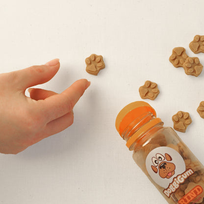 DoggiGum – Superfood-Belohnung für deinen besten Freund